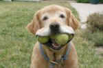tennis balls